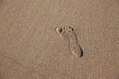 樱井政博透露未来动向：希望大家把我忘掉一段时间